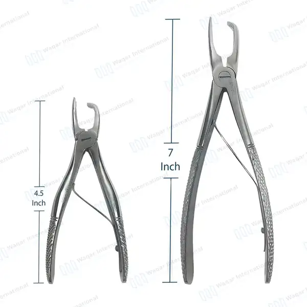2 Tartar Removing Forceps 4.5″ & 7″ Dental Veteniary Instruments - veterinary instruments manufactured by Waqar International, Sialkot - view 4
