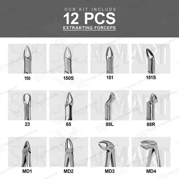 12 Pcs Dental Extracting Forceps Tooth Extraction Instruments Kit - dental instruments manufactured by Waqar International, Sialkot - view 2