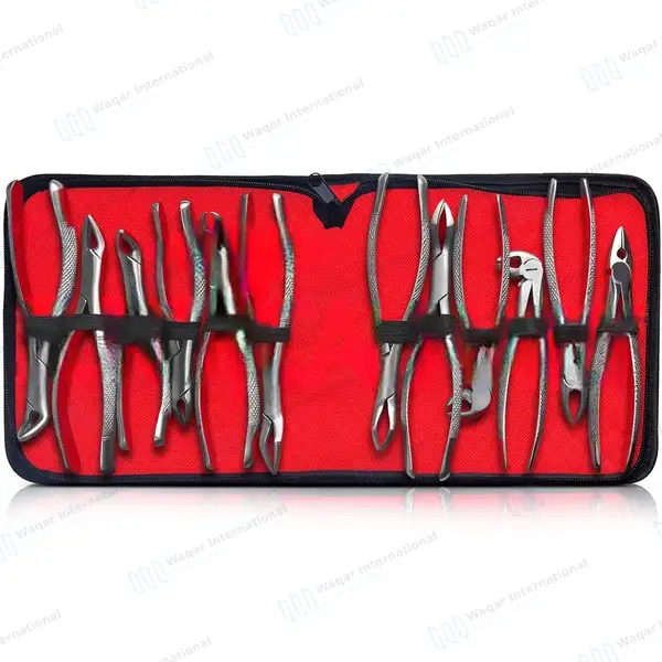 12 Pcs Dental Extracting Forceps Tooth Extraction Instruments Kit - dental instruments manufactured by Waqar International, Sialkot - view 5