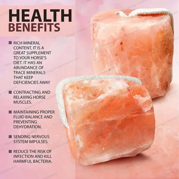 Himalayan Animal Lick Salt on Rope 6.5- 8lbs 100% Natural - veterinary instruments manufactured by Waqar International, Sialkot - view 4