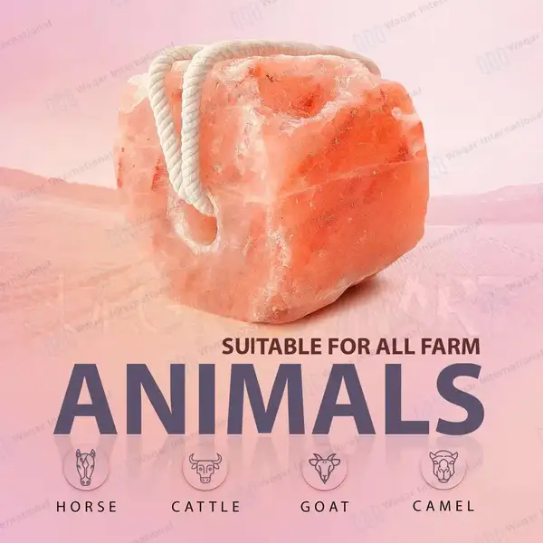 Himalayan Animal Lick Salt on Rope 6.5- 8lbs 100% Natural - veterinary instruments manufactured by Waqar International, Sialkot - view 5