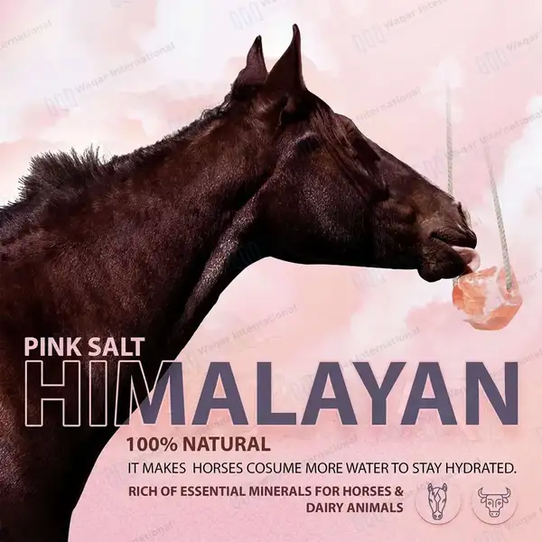 Himalayan Animal Lick Salt on Rope 6.5- 8lbs 100% Natural - veterinary instruments manufactured by Waqar International, Sialkot - view 8