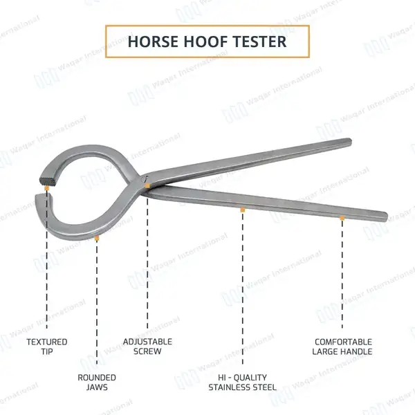 Hoof Tester 13″ Stainless Steel Equine Veterinary Instrument - veterinary instruments manufactured by Waqar International, Sialkot - view 2