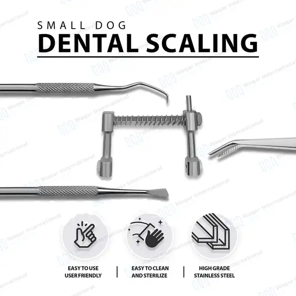 5 Pcs Dental Scaling Kit For Small Dogs - veterinary instruments manufactured by Waqar International, Sialkot - view 2