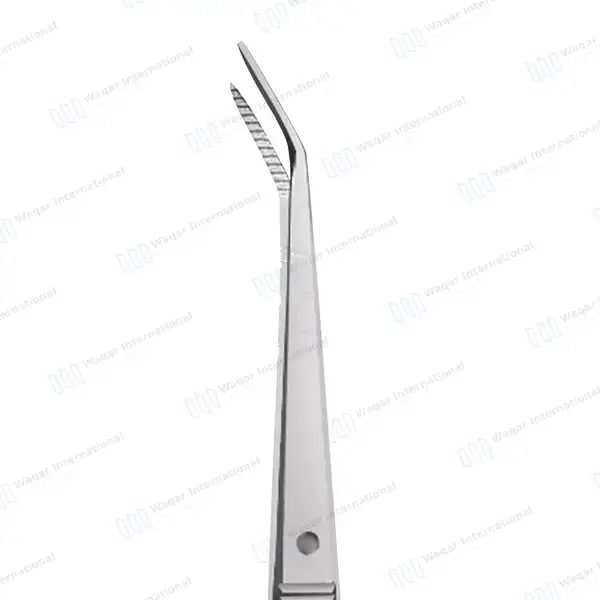5 Pcs Dental Scaling Kit For Small Dogs - veterinary instruments manufactured by Waqar International, Sialkot - view 3