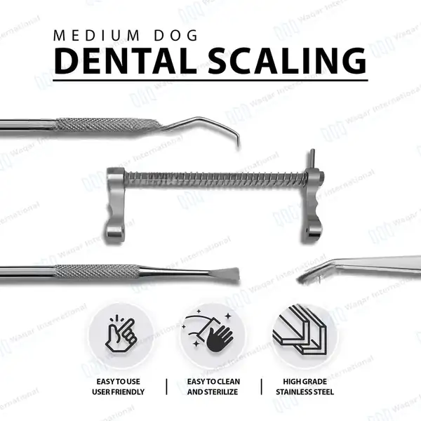 5 Pcs Dental Scaling Kit For Medium Dogs - veterinary instruments manufactured by Waqar International, Sialkot - view 2
