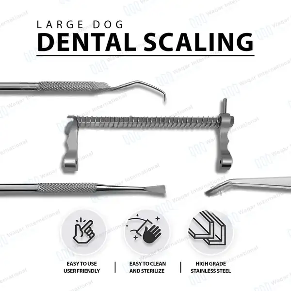 5 Pcs Dental Scaling Kit For Large Dogs - veterinary instruments manufactured by Waqar International, Sialkot - view 2
