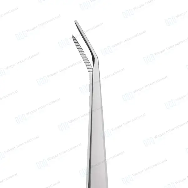 5 Pcs Dental Scaling Kit For Large Dogs - veterinary instruments manufactured by Waqar International, Sialkot - view 3