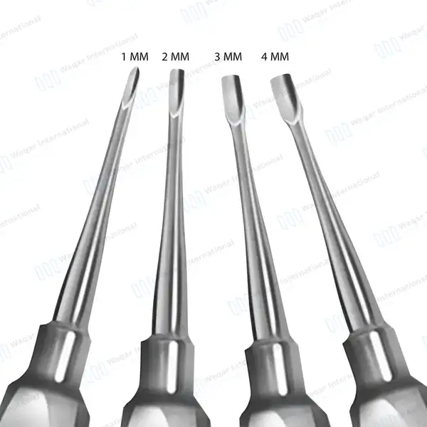 4 Pcs Winged Elevators Set 1mm-4mm Tips Standard Handle - veterinary instruments manufactured by Waqar International, Sialkot - view 2
