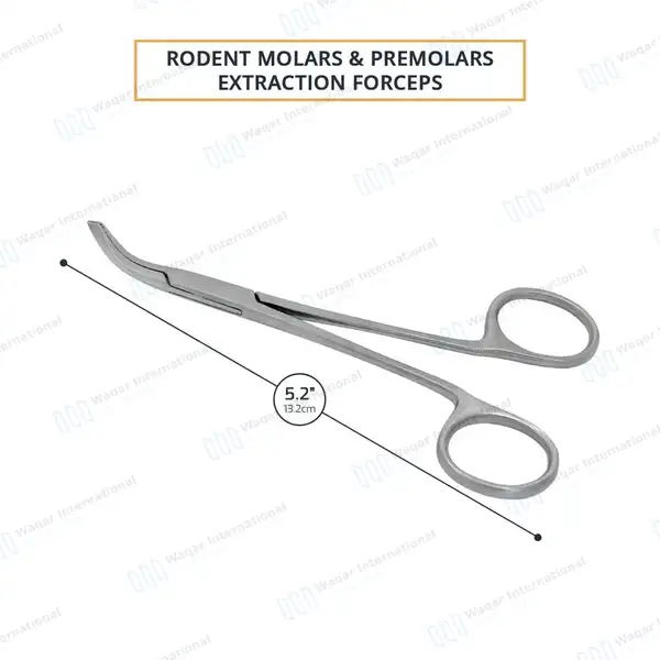 Rodent Molar and Premolar Extracting Forceps 5.2″ Serrated Angled Jaws - veterinary instruments manufactured by Waqar International, Sialkot - view 3