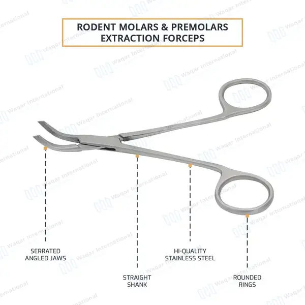 Rodent Molar and Premolar Extracting Forceps 5.2″ Serrated Angled Jaws - veterinary instruments manufactured by Waqar International, Sialkot - view 4
