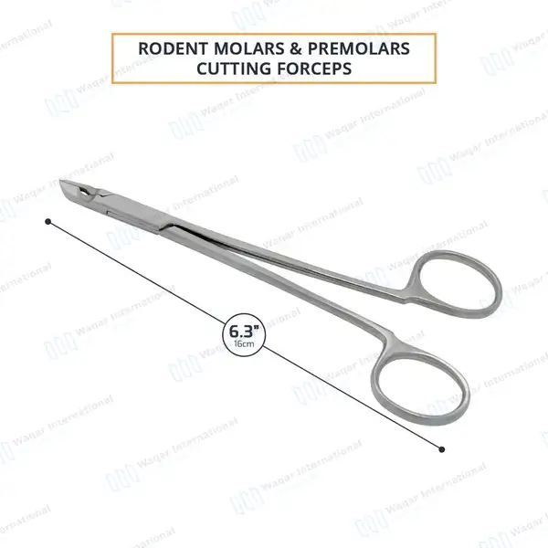 Rodent Molar and Premolar Cutting Forceps 6.3″ - veterinary instruments manufactured by Waqar International, Sialkot - view 3