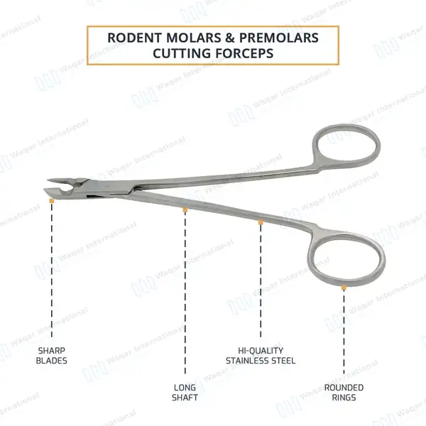 Rodent Molar and Premolar Cutting Forceps 6.3″ - veterinary instruments manufactured by Waqar International, Sialkot - view 4