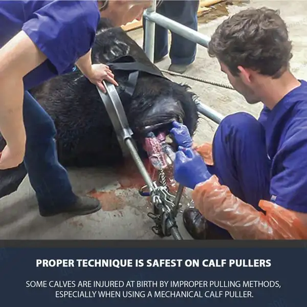 Heavy Duty Calf Puller Calving Extractor 65″ with Carrying Bag - veterinary instruments manufactured by Waqar International, Sialkot - view 8