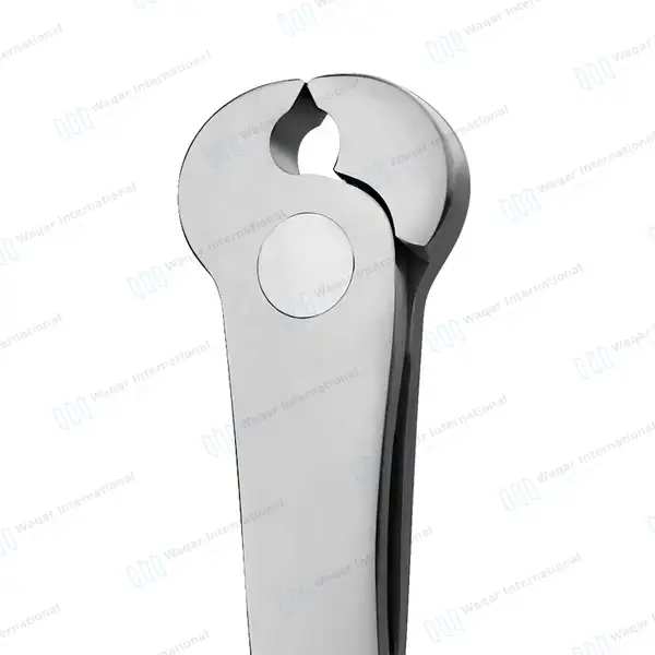 Wire Cutter 7.5″ (19.1cm) Orthopedic Veterinary Instrument - veterinary instruments manufactured by Waqar International, Sialkot - view 3