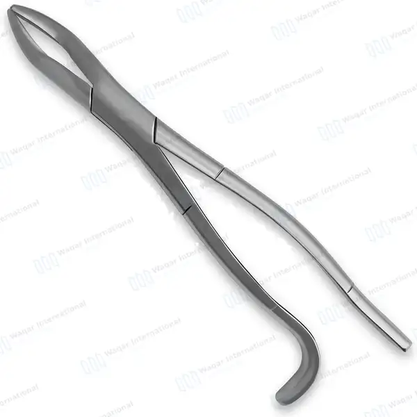 Equine Dental Wolf Tooth Extracting Forceps 11″ Hook Handle - veterinary instruments manufactured by Waqar International, Sialkot - view 2