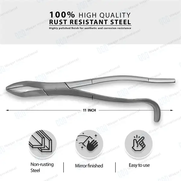 Equine Dental Wolf Tooth Extracting Forceps 11″ Hook Handle - veterinary instruments manufactured by Waqar International, Sialkot - view 3