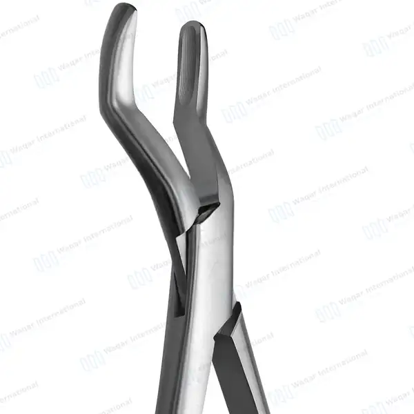 Equine Dental Wolf Tooth Extracting Forceps 11″ Hook Handle - veterinary instruments manufactured by Waqar International, Sialkot - view 4