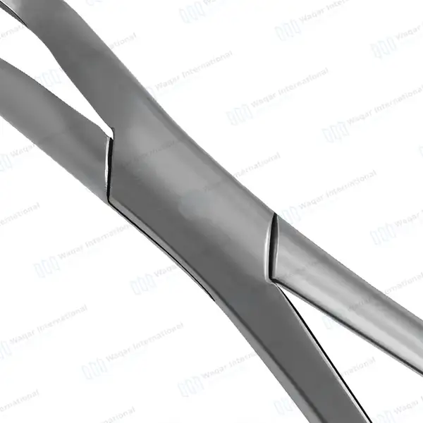 Equine Dental Wolf Tooth Extracting Forceps 11″ Hook Handle - veterinary instruments manufactured by Waqar International, Sialkot - view 6
