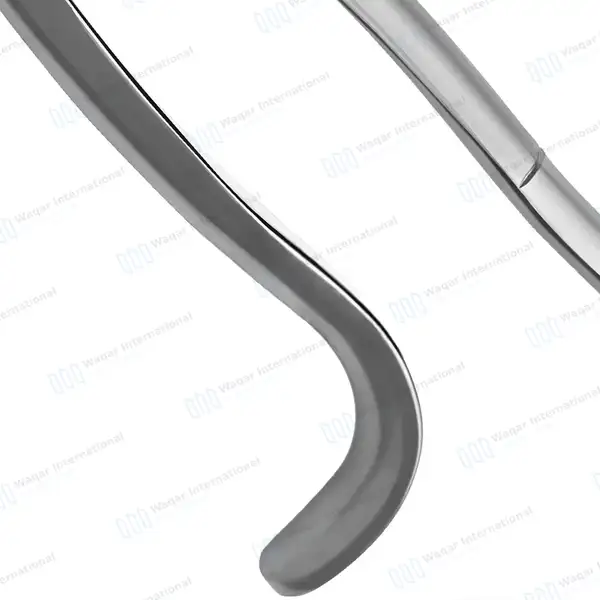 Equine Dental Wolf Tooth Extracting Forceps 11″ Hook Handle - veterinary instruments manufactured by Waqar International, Sialkot - view 7