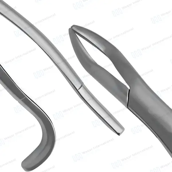 Equine Dental Wolf Tooth Extracting Forceps 11″ Hook Handle - veterinary instruments manufactured by Waqar International, Sialkot - view 8