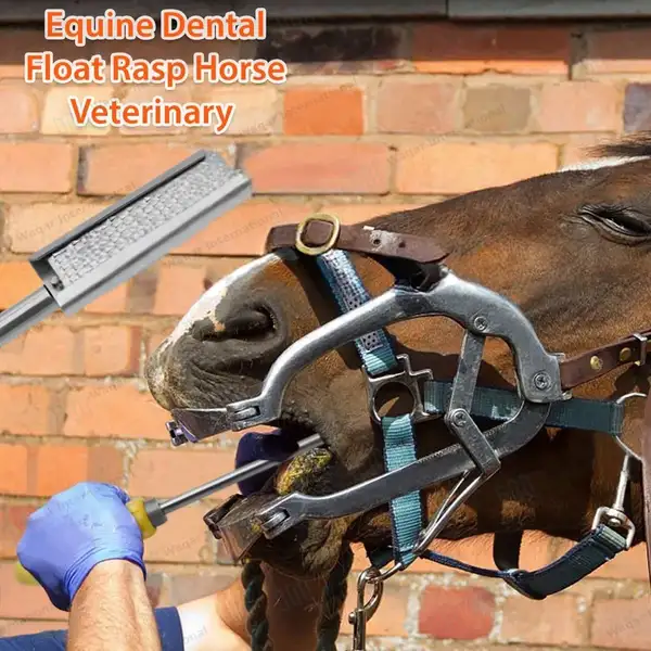 3 Equine Dental Float Rasps Set Angle Up, Down & Straight Adjustable Wooden Handle - veterinary instruments manufactured by Waqar International, Sialkot - view 9