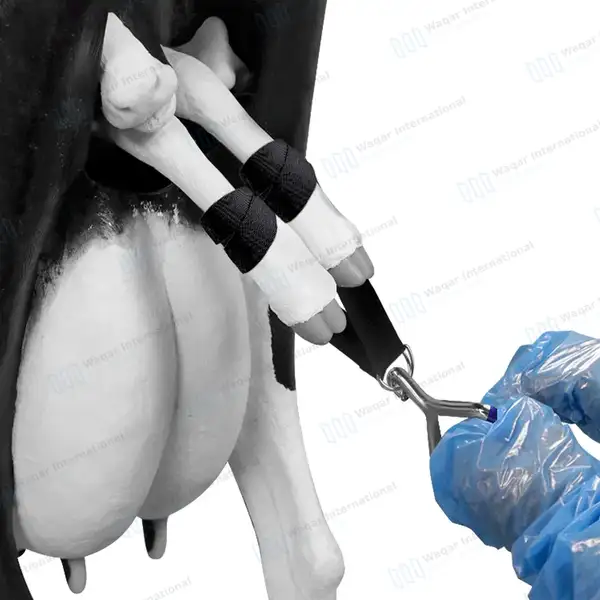 3 Pcs Nylon OB Calf Pulling Straps 30″, 45″ 60″ with Hook Handle Set - veterinary instruments manufactured by Waqar International, Sialkot - view 9