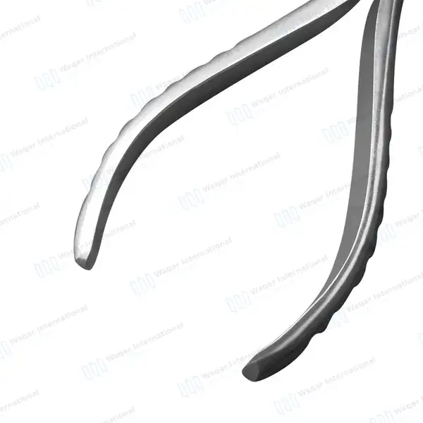 Top Notched Large Ring Closing Plier 6″ - body piercing instruments manufactured by Waqar International, Sialkot - view 5