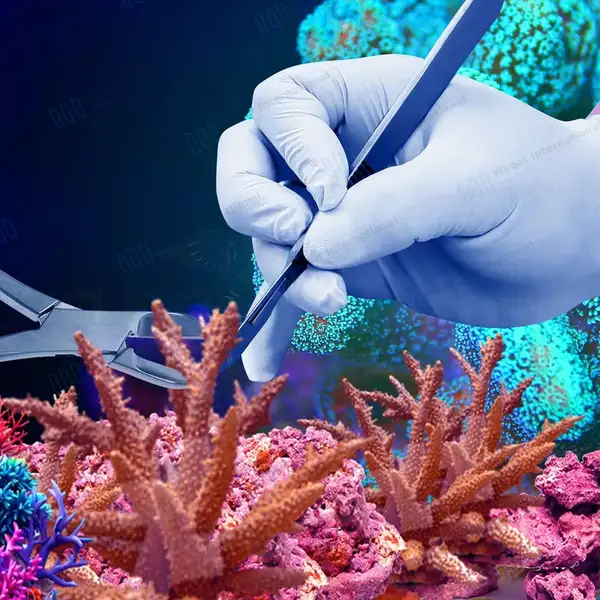 13 Pcs Coral Frag Kit Fragging Propagation Reef Hard & Soft Set - surgical instruments manufactured by Waqar International, Sialkot - view 5