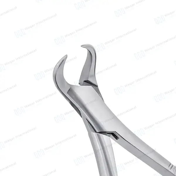 3 Dental Extracting Forceps #150 #151 #23 - dental instruments manufactured by Waqar International, Sialkot - view 2