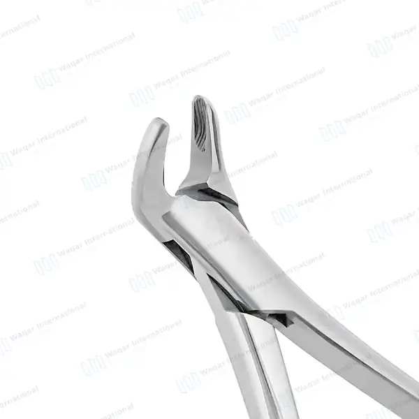 3 Dental Extracting Forceps #150 #151 #23 - dental instruments manufactured by Waqar International, Sialkot - view 3