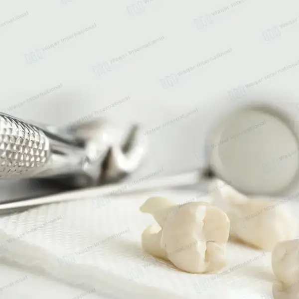3 Dental Extracting Forceps #150 #151 #23 - dental instruments manufactured by Waqar International, Sialkot - view 4