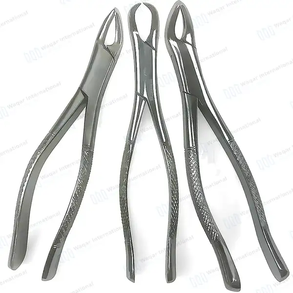 9 Pcs Basic Dental Surgery Extraction Forceps Elevator Set - surgical instruments manufactured by Waqar International, Sialkot - view 3