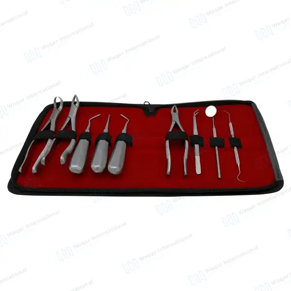 9 Pcs Basic Dental Surgery Extraction Forceps Elevator Set - surgical instruments manufactured by Waqar International, Sialkot - view 6