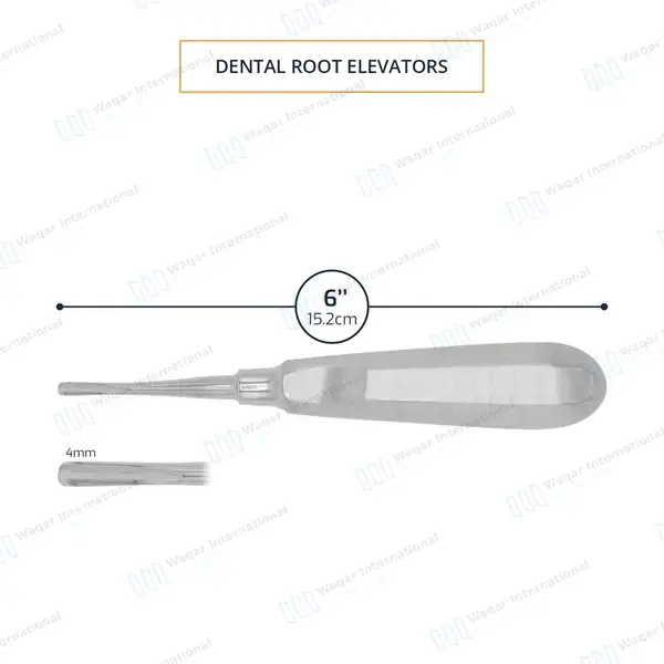 10 Seldin Root Elevator 34S – 4mm Tip - dental instruments manufactured by Waqar International, Sialkot - view 3