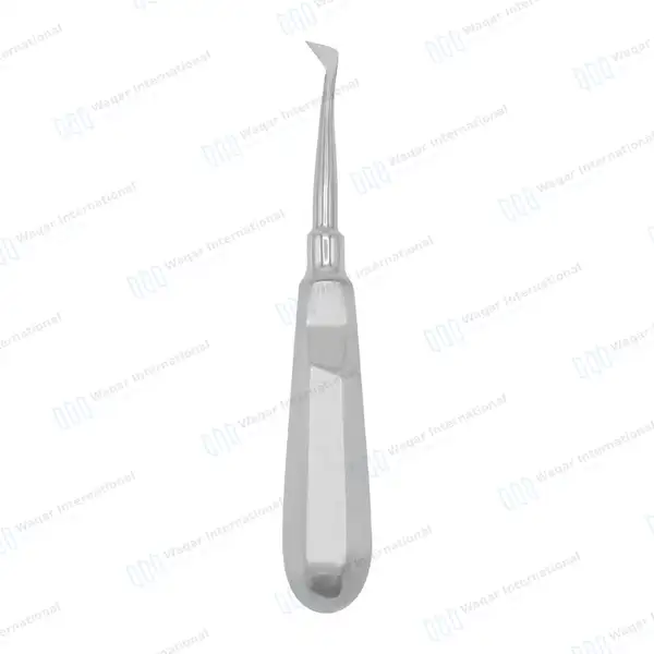 4R Seldin Elevator – 10mm Tip - dental instruments manufactured by Waqar International, Sialkot - view 2
