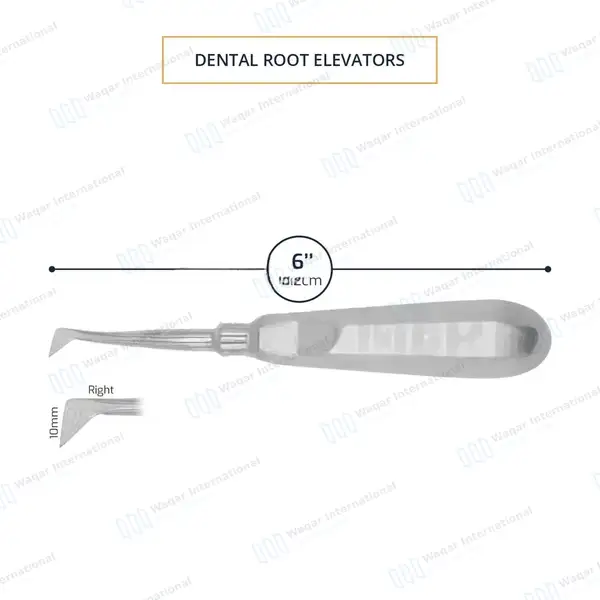 4R Seldin Elevator – 10mm Tip - dental instruments manufactured by Waqar International, Sialkot - view 3
