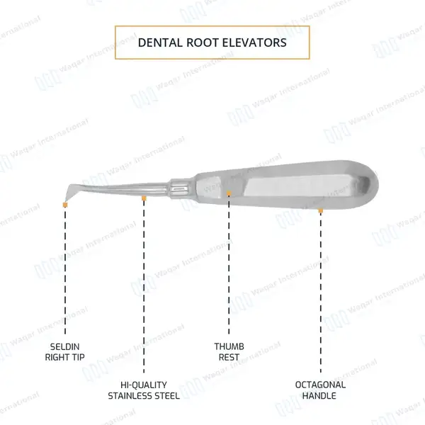 2 Seldin Elevator 4R – 10mm Tip - dental instruments manufactured by Waqar International, Sialkot - view 4
