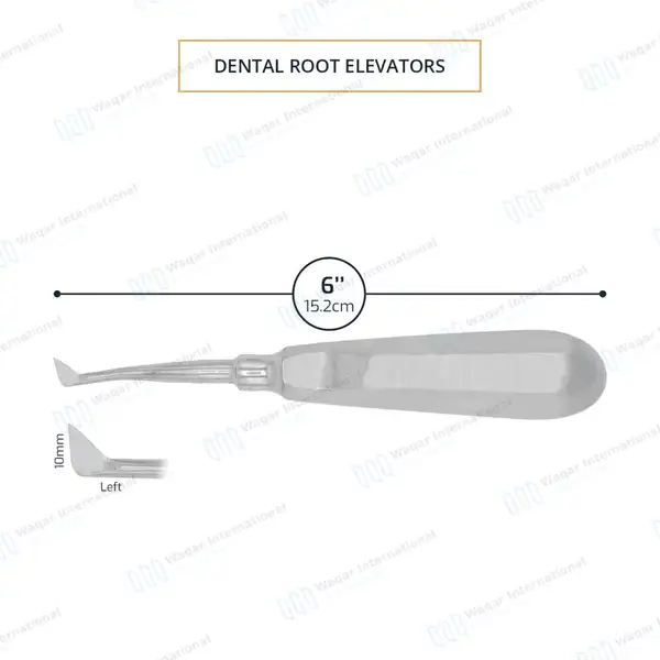 Seldin Elevator 4L – 10mm Tip - dental instruments manufactured by Waqar International, Sialkot - view 3