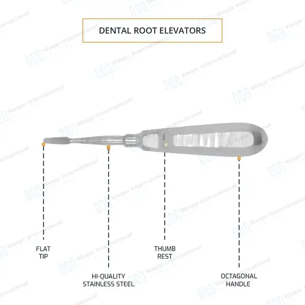 2 Apical Root Elevator 301 Straight 2.5mm Tip - dental instruments manufactured by Waqar International, Sialkot - view 4
