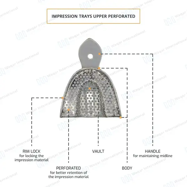 2 Dental Impression Trays Perforated Small Upper & Lower - surgical instruments manufactured by Waqar International, Sialkot - view 4