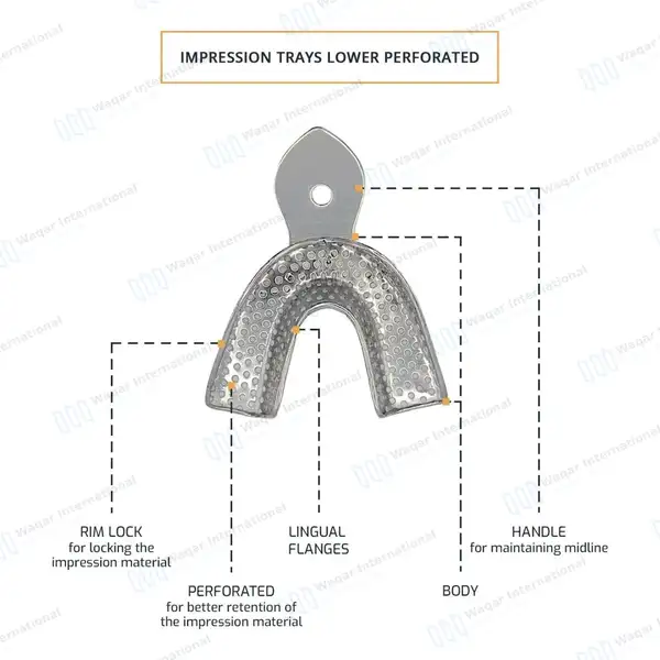 2 Dental Impression Trays X-Large Perforated Upper & Lower - surgical instruments manufactured by Waqar International, Sialkot - view 4