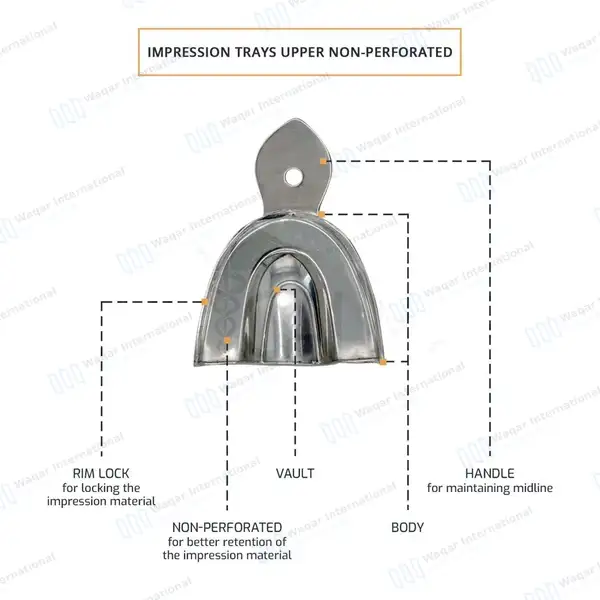 Metal Impression Trays Solid Large Upper & Lower - surgical instruments manufactured by Waqar International, Sialkot - view 3