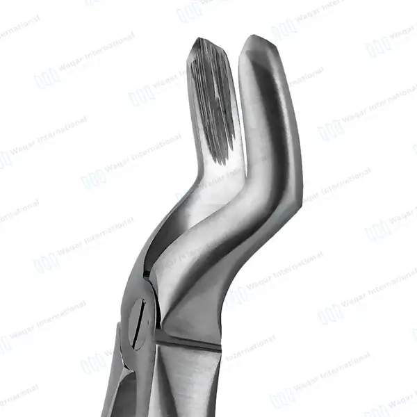 Pedo Extracting Forceps #A Dental Surgical Instrument - surgical instruments manufactured by Waqar International, Sialkot - view 4