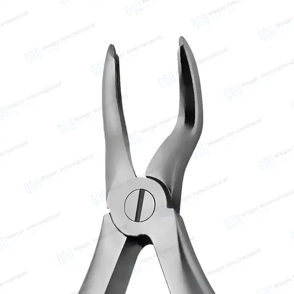 Pedo Extracting Forceps #A Dental Surgical Instrument - surgical instruments manufactured by Waqar International, Sialkot - view 5