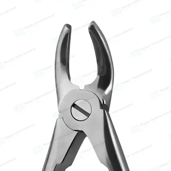 Pedo Extracting Forceps #F Dental Surgical Instrument - surgical instruments manufactured by Waqar International, Sialkot - view 4