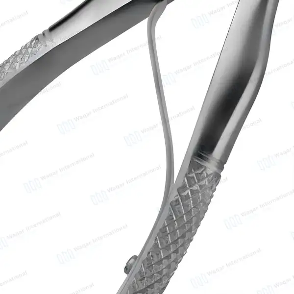 Pedo Extracting Forceps #F Dental Surgical Instrument - surgical instruments manufactured by Waqar International, Sialkot - view 6