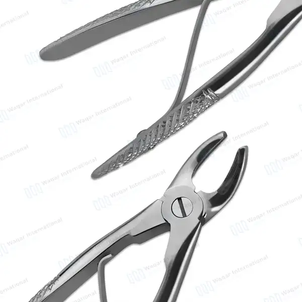 Pedo Extracting Forceps #F Dental Surgical Instrument - surgical instruments manufactured by Waqar International, Sialkot - view 8