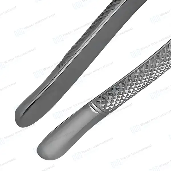 Tooth Extracting Forceps #1STD Upper Incisors and Cuspids - dental instruments manufactured by Waqar International, Sialkot - view 7