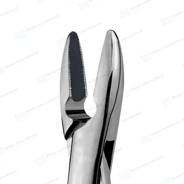 TC Extracting Forceps #1STD Upper Incisors and Cuspids - dental instruments manufactured by Waqar International, Sialkot - view 3